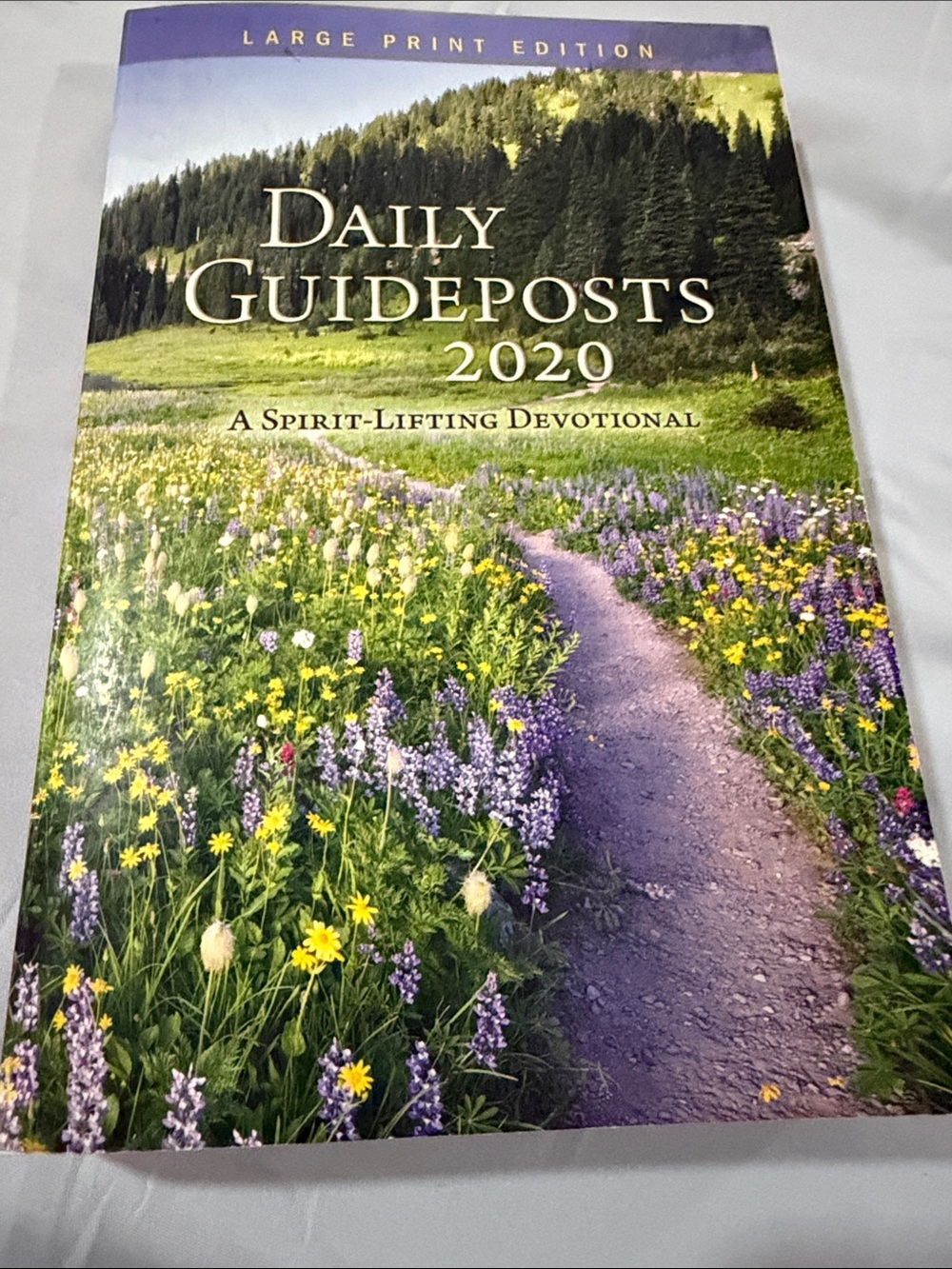 Daily Guideposts 2020 Large Print Devotional - Purple Floral Cover